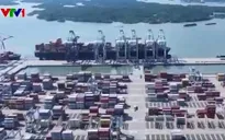 Việt Nam có nhiều dư địa bứt tốc xuất khẩu trực tuyến