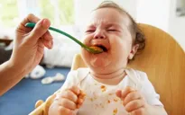 Trẻ biếng ăn: Khi nguyên nhân bắt nguồn từ vị giác