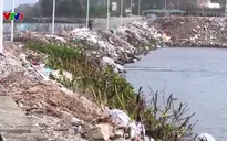 Phế thải, xà bần "bủa vây" đặc khu Lý Sơn, ảnh hưởng du lịch