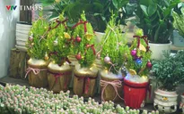 Người tiêu dùng lựa chọn tặng quà gì dịp Giáng sinh 2025?