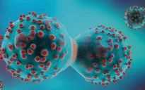 Australia phát hiện “công tắc” giúp tế bào ung thư né tránh hệ miễn dịch