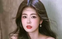 Bạch Lộc dừng làm việc sau thời gian vắt kiệt sức