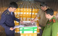 Thu giữ gần 10 tấn cá khoai sử dụng chất cấm để bảo quản