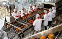 Gia tăng giá trị thặng dư cho nông sản xuất khẩu Việt Nam