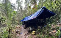 Vào rừng ở Đà Nẵng dựng lán trại, thăm dò để đào vàng trái phép