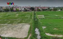 Siết phân lô bán nền từ đất nông nghiệp