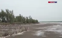 Bờ biển Vĩnh Long sạt lở nghiêm trọng, hàng nghìn hộ dân đối mặt nguy cơ mất đất, mất nhà