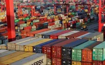 Gần 500 container chè Việt Nam ách tắc tại cảng Karachi, Pakistan