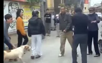 Xác minh clip chó tấn công người trong lúc xảy ra xô xát ở Hà Nội