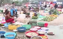 Hà Nội đặt mục tiêu xóa sổ 100% “chợ cóc”, điểm kinh doanh tự phát