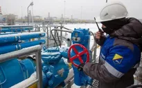 EU giảm dần nhập khẩu từ Nga