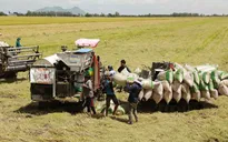 Xanh hóa ngành hóa chất, phân bón: Đòn bẩy cạnh tranh cho nông nghiệp Việt Nam