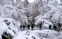 Bão tuyết nghiêm trọng tại Mỹ khiến hàng nghìn chuyến bay gián đoạn