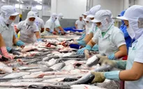 Xuất khẩu cá tra dự báo đạt gần 2,2 tỷ USD