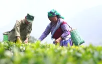 Từ giảm nghèo còn 1% đến cơ bản không còn hộ nghèo