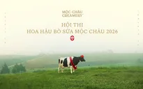 Hội thi Hoa hậu Bò sữa 2026: Di sản từ cao nguyên Mộc Châu trở lại