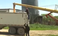 Mỹ củng cố nền nông nghiệp quốc gia