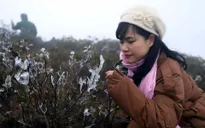 Thời tiết đêm 2/1: Bắc Bộ rét đậm, vùng núi đề phòng băng giá