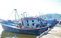 Gỡ "thẻ vàng" IUU: Từ hành động thực chất đến kết quả thực chất