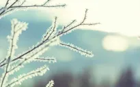 Rét đậm rét hại: Những nhóm đối tượng cần được bảo vệ khẩn cấp