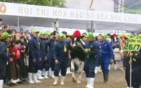 Hội thi Hoa hậu Bò sữa Mộc Châu có tân Hoa hậu