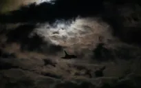 Anh, Pháp không kích nhằm vào kho vũ khí của IS tại Syria