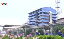 Bảo vệ môi trường, phát triển kinh tế xanh để phát triển bền vững