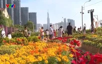 Vườn hoa Tết bên sông ở TP Hồ Chí Minh “gây sốt” dịp Tết Dương lịch