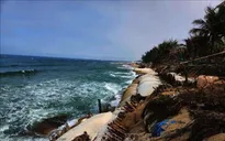 Từ ngày 5 - 14/1, đề phòng sạt lở bờ biển khu vực từ Gia Lai - Cà Mau