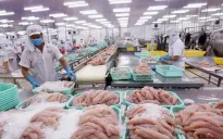 Thủy sản Việt Nam đối mặt thách thức lớn khi Mỹ siết nhập khẩu