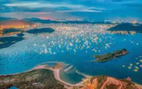 Làm lại từ biển - Tái sinh vùng nuôi sau bão lũ