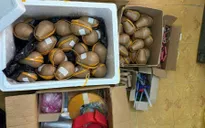 Phú Thọ: Bắt giữ đối tượng sản xuất gần 30kg pháo nổ trái phép