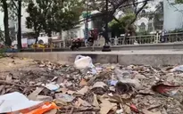 Không gian xanh bị “bỏ quên” tại hồ Xã Đàn, Hà Nội