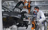 Doanh nghiệp phá sản tại Đức cao nhất 20 năm