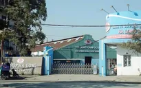 Nhà máy Đồ hộp Hạ Long (Hải Phòng) tạm dừng sản xuất