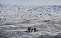 Các đảng phái tại Greenland đồng loạt phản đối sức ép của Tổng thống Trump