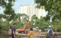 TP Hồ Chí Minh rà soát 9 khu "đất vàng", đề xuất làm công viên tạm phục vụ Tết 2026