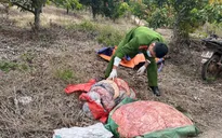 Phát hiện xe chở 340kg nội tạng động vật không rõ nguồn gốc tại Sơn La