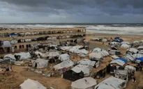 Mỹ bổ nhiệm thành viên Hội đồng Hòa bình cho Gaza 