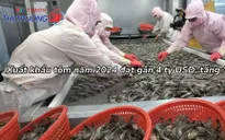 Hướng đến thương hiệu và giá trị cho ngành tôm