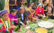 Tổ chức chương trình “Bánh chưng xanh - Tết vì người nghèo” năm 2026 tại Làng Văn hóa - Du lịch các dân tộc Việt Nam