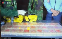 Bắt quả tang hai đối tượng vận chuyển trái phép ma túy tổng hợp