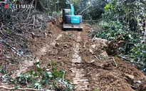 Nghệ An bố trí hơn 141 tỷ đồng xây dựng các khu tái định cư cho người dân vùng thiên tai