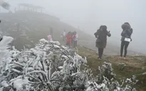 Miền Bắc rét đậm, có nơi rét hại, vùng núi đề phòng băng giá