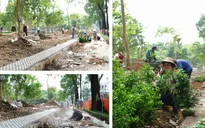 Người dân TP Hồ Chí Minh phấn khởi khi “đất vàng” được cải tạo thành vườn hoa Tết