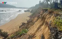 Thanh Hóa: Công bố tình huống khẩn cấp sạt lở đê biển tại xã Hoằng Thanh