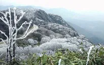 Rét đậm, rét hại bao trùm miền Bắc, kéo dài đến ngày 24/1