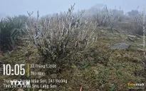 Bắt đầu xuất biện băng tuyết trên đỉnh Mẫu Sơn