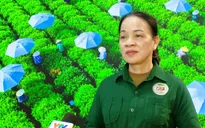 HTX chè Hảo Đạt chuyển mình nhờ khoa học và công nghệ
