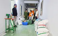 Phát hiện vụ sản xuất bột ngọt giả quy mô lớn